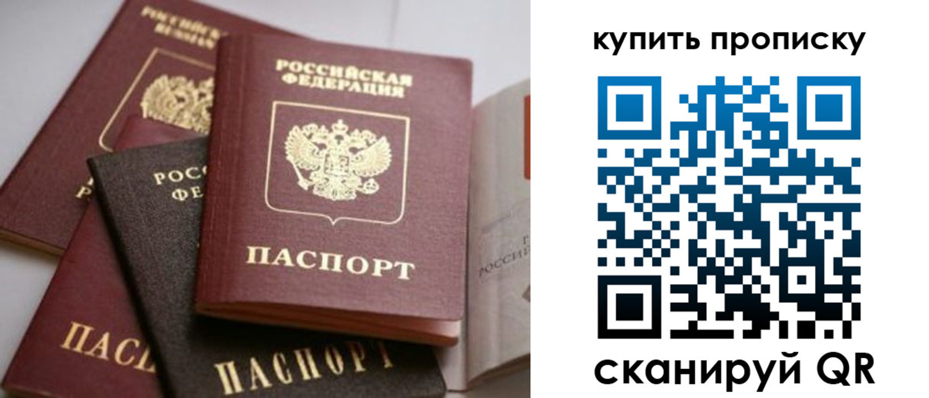 прописка 2025 в Озёрске